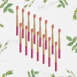 Bamboo Wooden Toothbrush (15 pcs set)