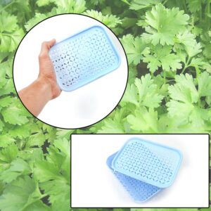 1 Pc Kothmir Basketused in all types of household places 1 Pc Kothmir Basketused in all types of household places