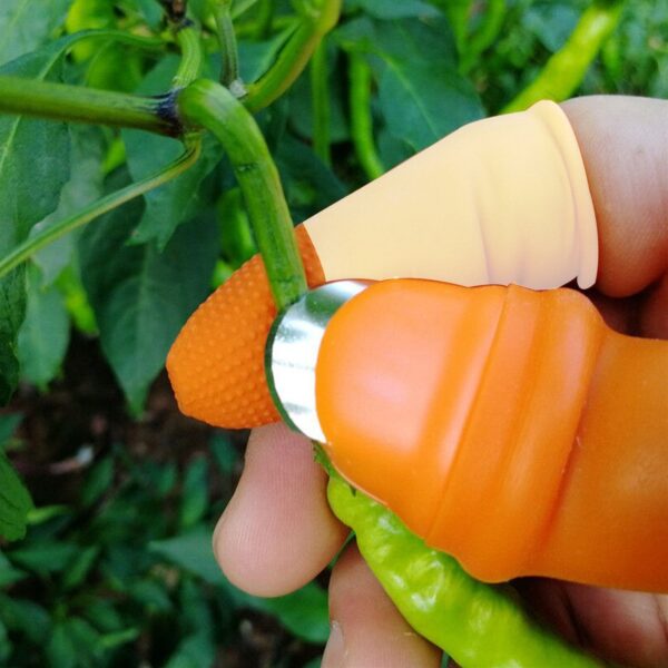 Thumb Cutter for Vegetable