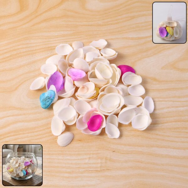 Decorative Seashells Set (1 Set) Decorative Seashells Set (1 Set)