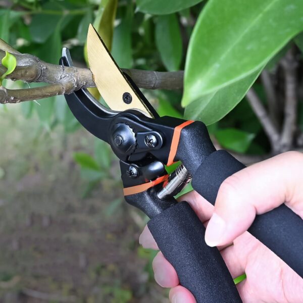 Heavy Duty Garden Pruning Shears (1 Pc)