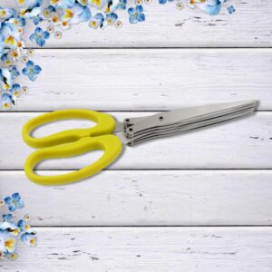 Multifunction Vegetable Stainless Steel Herbs Scissor with 5 Blades (1 Pc) Multifunction Vegetable Stainless Steel Herbs Scissor with 5 Blades (1 Pc)