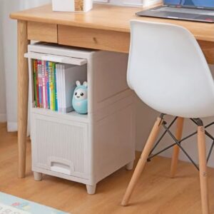 Multipurpose Wardrobe Storage Drawers (2 Layer) Multipurpose Wardrobe Storage Drawers (2 Layer)