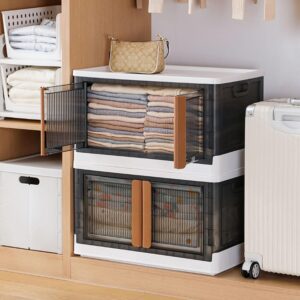 Plastic Folding Wardrobe Storage Organizer (1 Layer / 1 Pc) Plastic Folding Wardrobe Storage Organizer (1 Layer / 1 Pc)