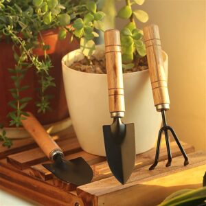 Small sized Hand Cultivator, Small Trowel, Garden Fork (Set of 3) Small sized Hand Cultivator, Small Trowel, Garden Fork (Set of 3)