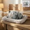 Soft Plush Cute Closed-Eye Cat Car Dashboard Showpiece Toy (1 Pc) Soft Plush Cute Closed-Eye Cat Car Dashboard Showpiece Toy (1 Pc)