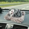 Soft Plush Cute Open-Eye Cat Car Dashboard Showpiece Toy (1 Pc) Soft Plush Cute Open-Eye Cat Car Dashboard Showpiece Toy (1 Pc)