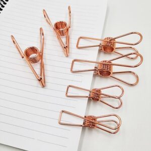 Stainless Steel Multipurpose Sturdy Clothes Hanging Clips Stainless Steel Multipurpose Sturdy Clothes Hanging Clips