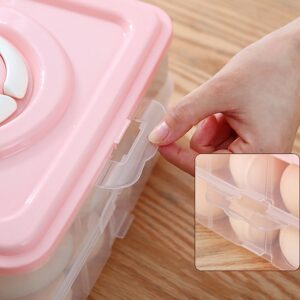 Double Layer Premium 48 Grid Egg Storage Box for Egg Storage Container Double Layer Premium 48 Grid Egg Storage Box for Egg Storage Container