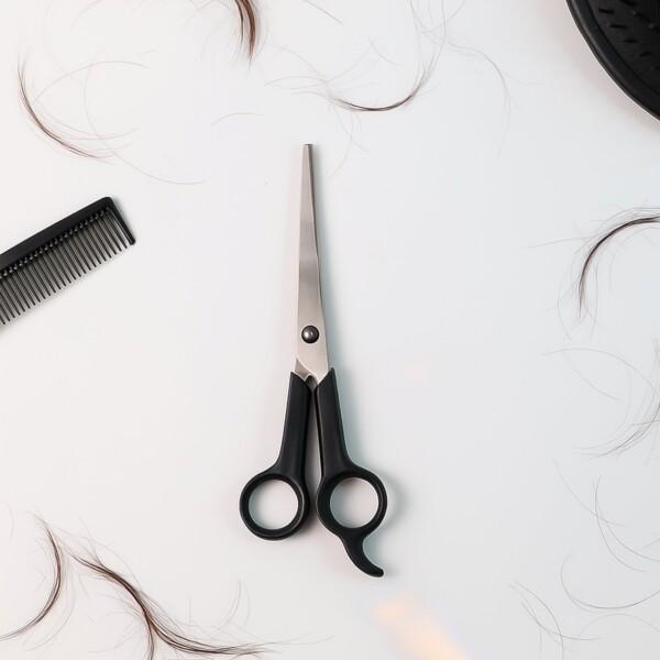 Precision Scissors