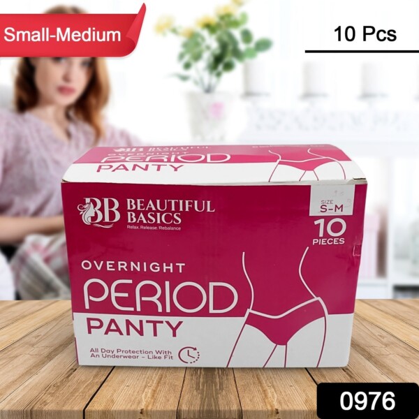 Overnight period panty