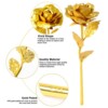 Timeless Treasure Set