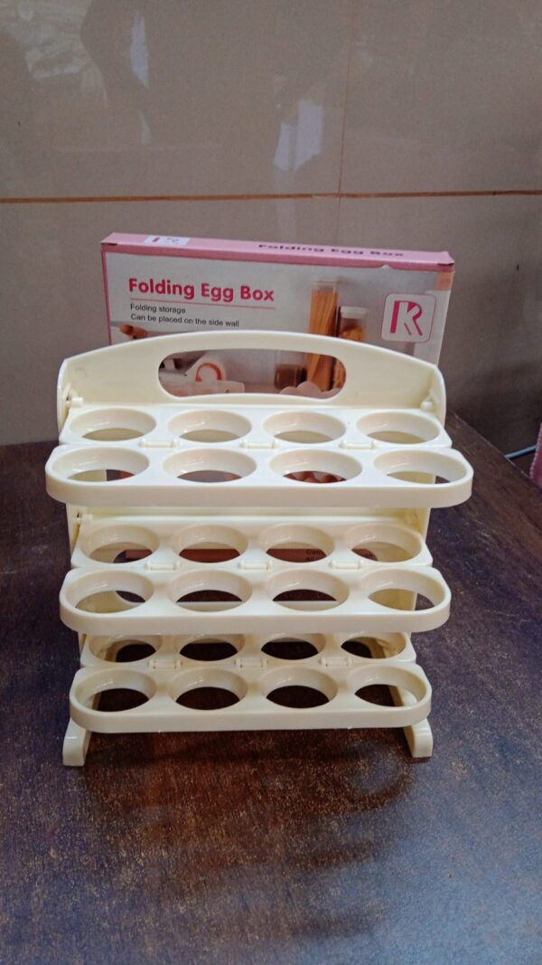 24 Grid Egg Storage Tray