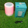 LED Portable Speakers